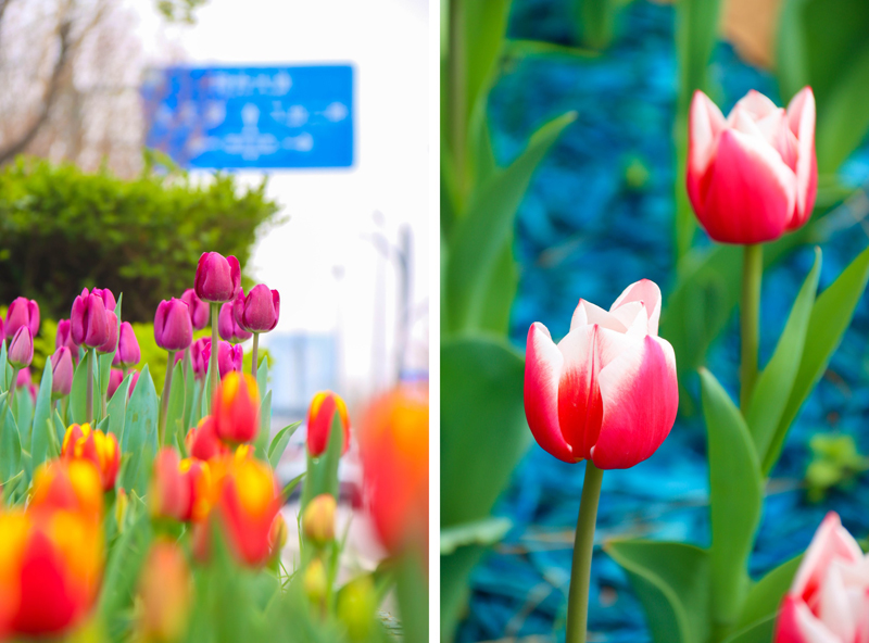 �������� | ��������·������������