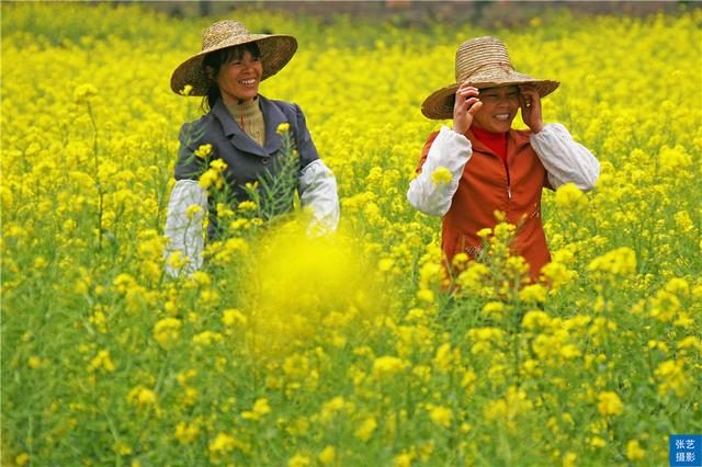 阳春三月，广东石门油菜花田乡村美，春天赏花拍照踏青好去处