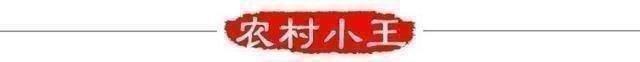 闻男生宿舍篮球鞋(呼噜声、脚臭气、垃圾满地飞，令人心酸的工地农民工宿舍)