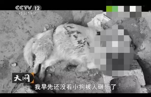 消失的夫妻知乎完整笔录 消失的夫妻审讯记录-乐百科