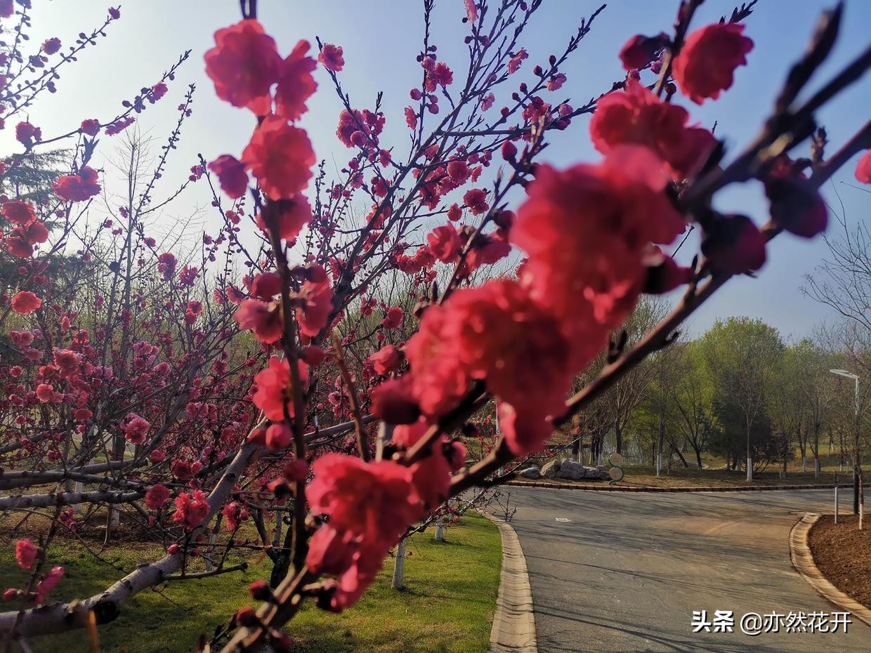 低语如风，眼神闪烁，指尖轻颤，她吐出的每个字都带着未说尽的痛与期待。