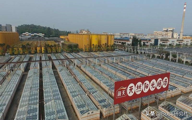 广东佛山十大富豪，共计坐拥7395亿元，杨惠妍身价缩水400亿