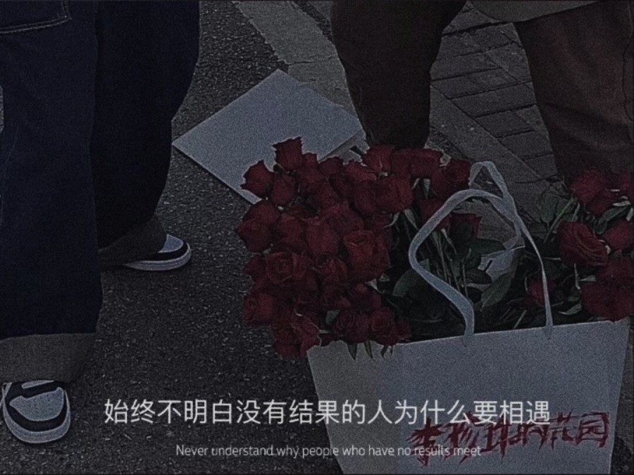 值得你收藏的高质量文案——理想和现实隔着一个生活