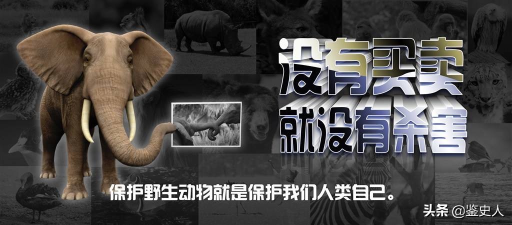 中国大妈身价千万惹众怒，在非洲被判15年，国人却拍手称快