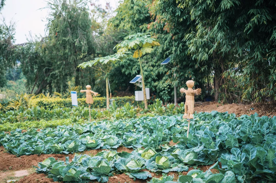 福州有网球场的小区(这座高颜值的岛屿城市，足足有4家国宾馆)