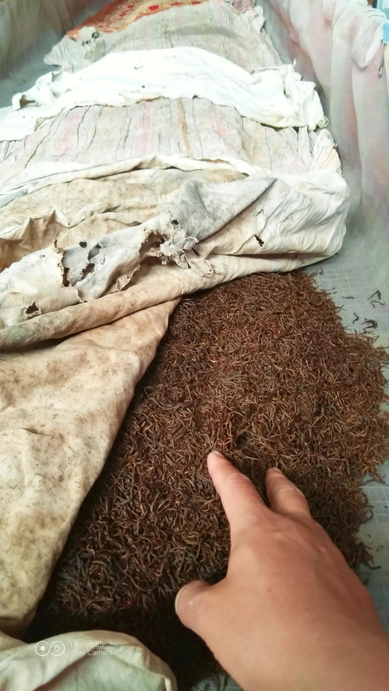 判斷紅茶好壞的最簡單方法