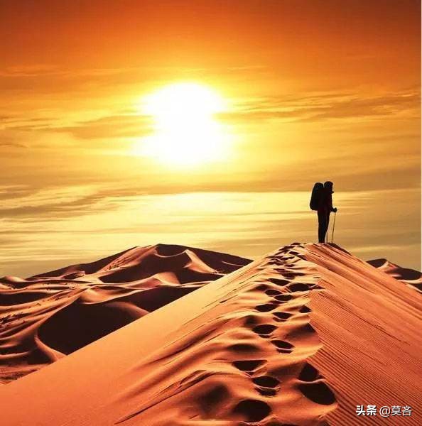如何与「学业、工作、生活没有一处优秀的失败人生」和解？