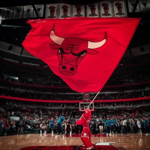 哪些球队是最后加入nba（NBA联盟的发展历程，以及几只王朝球队和标志性球星）