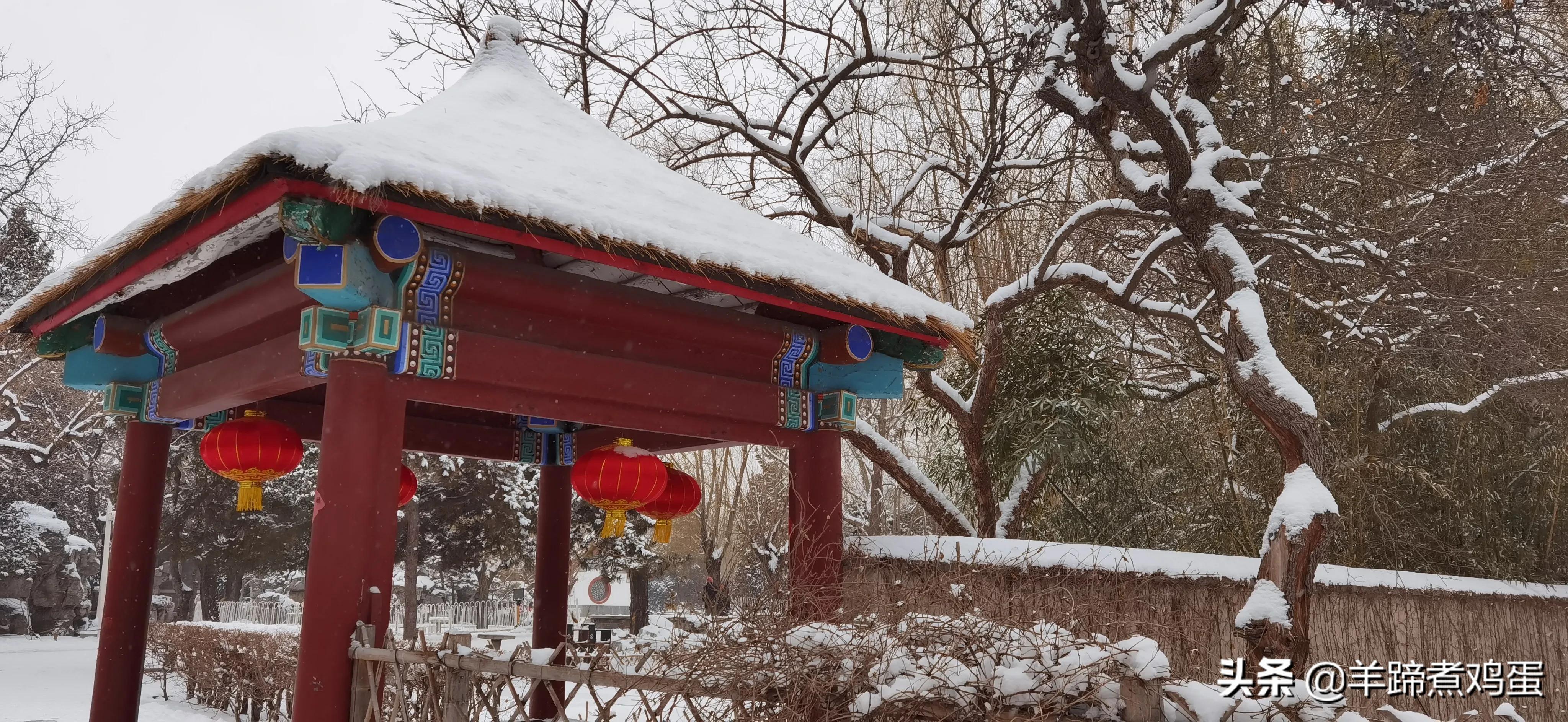 难览观园全画景雪覆腊梅一隅香——踏雪寻游北京大观园