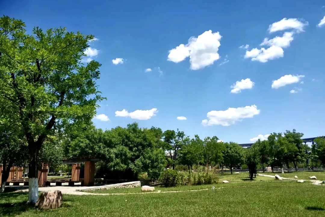 新增中国画专业！天津师范大学发布2022年艺术类招生专业及范围