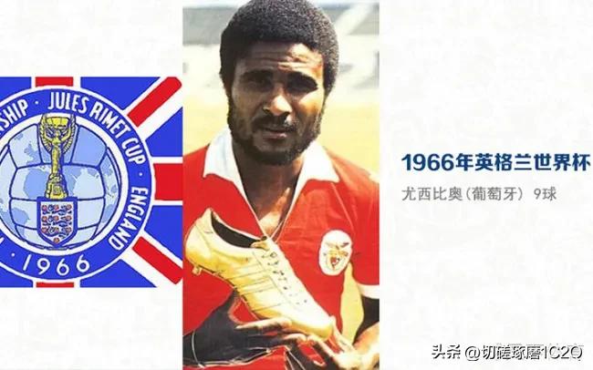 2002世界杯排名榜排名（歷屆男子世界杯足球賽冠、亞軍）