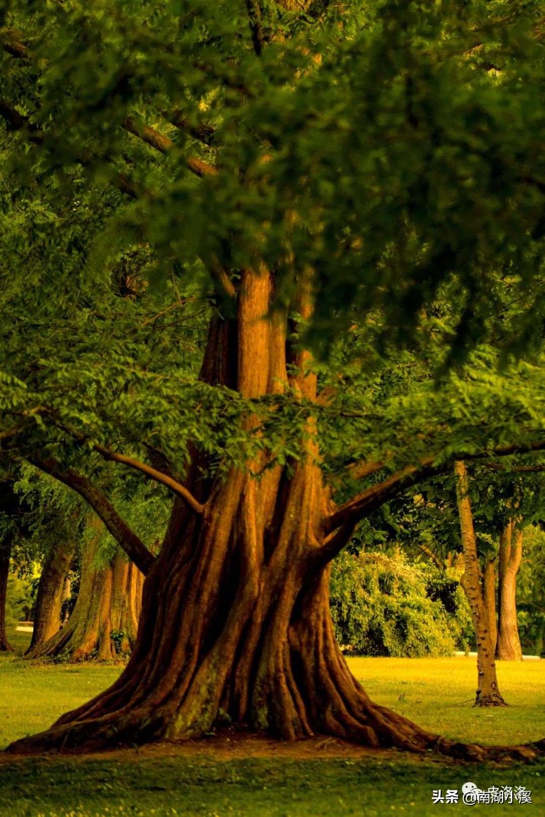 工作十年，分享工作中应该培养的八种能力