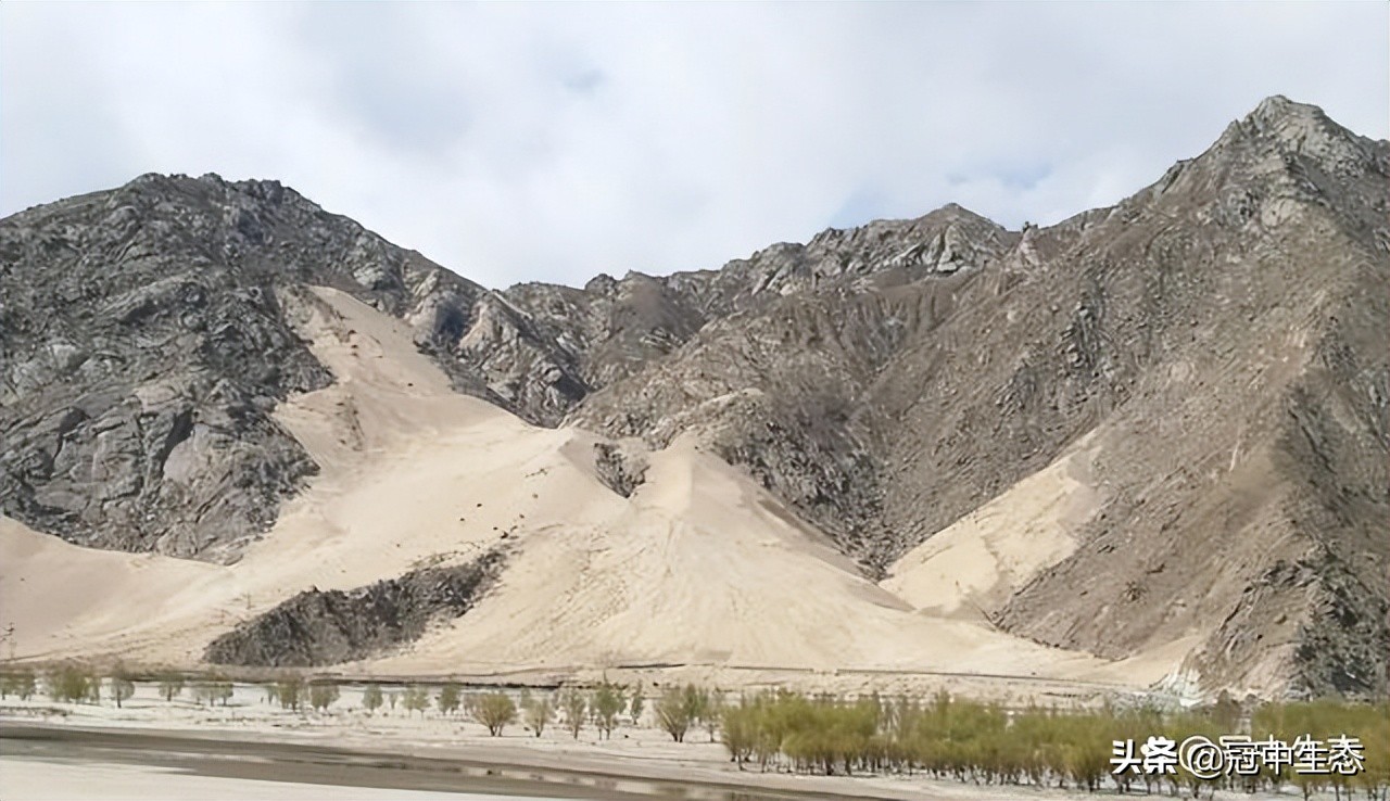 冠中生态｜揭开“优粒”土壤的神秘面纱