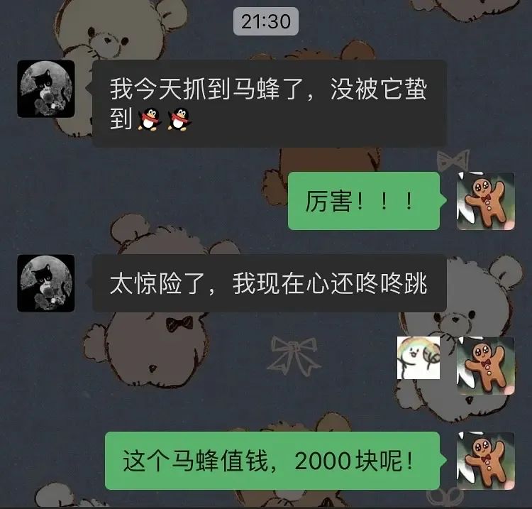 动森铁矿石（动森铁矿石用什么工具刷的多）-第21张图片-欧交易所