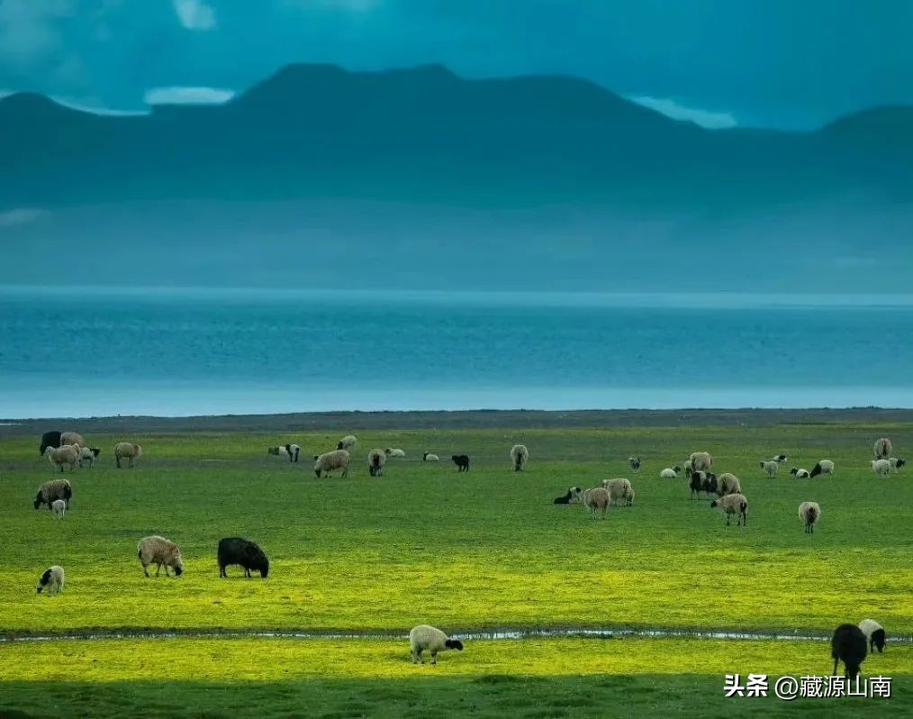 穿越藏南最美边境线路，过一个充满“多巴胺”的夏天！