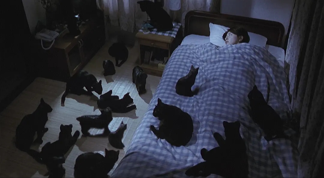 同样是恐怖片，把《咒怨》和《午夜凶铃》放在一起，差距就出来了