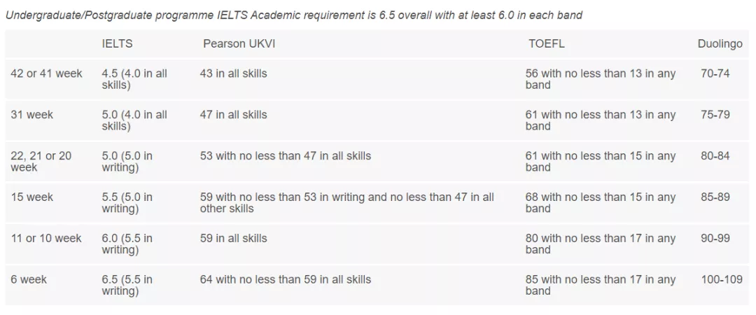 英国大学22fall语言班申请更新（上）：和雅思say bye的机会有