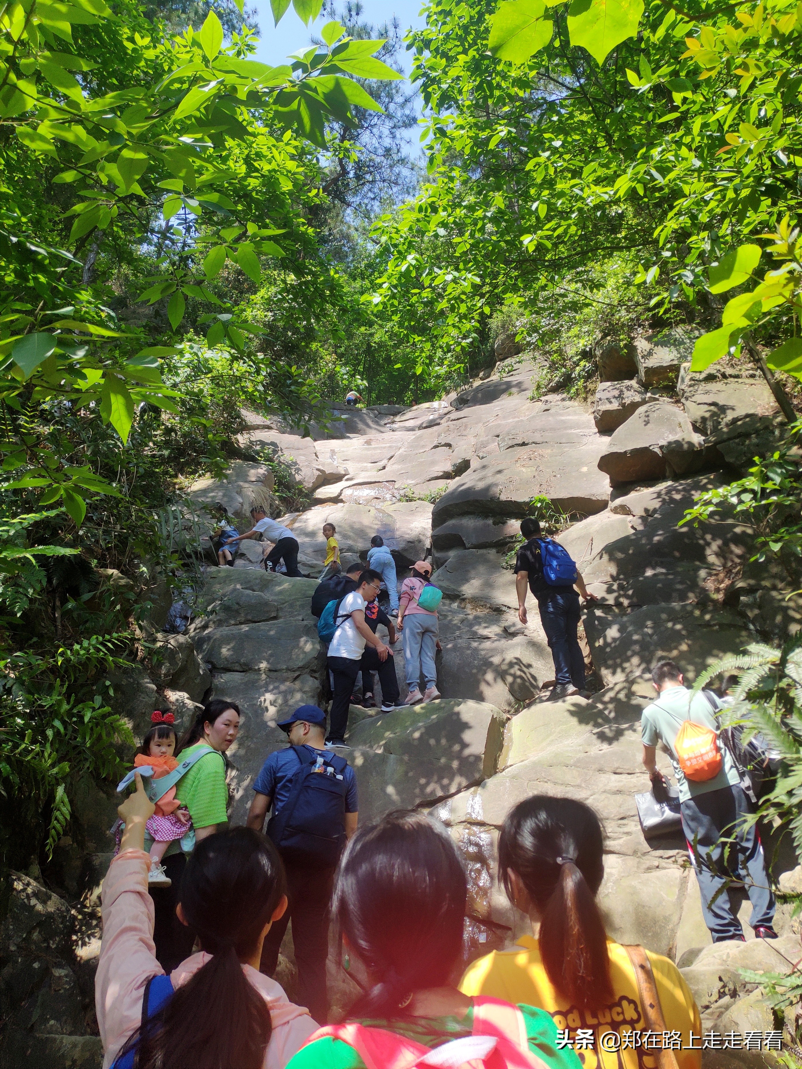 重庆哪里可以爬山(重庆歌乐山911爬山路线，真的太刺激了)