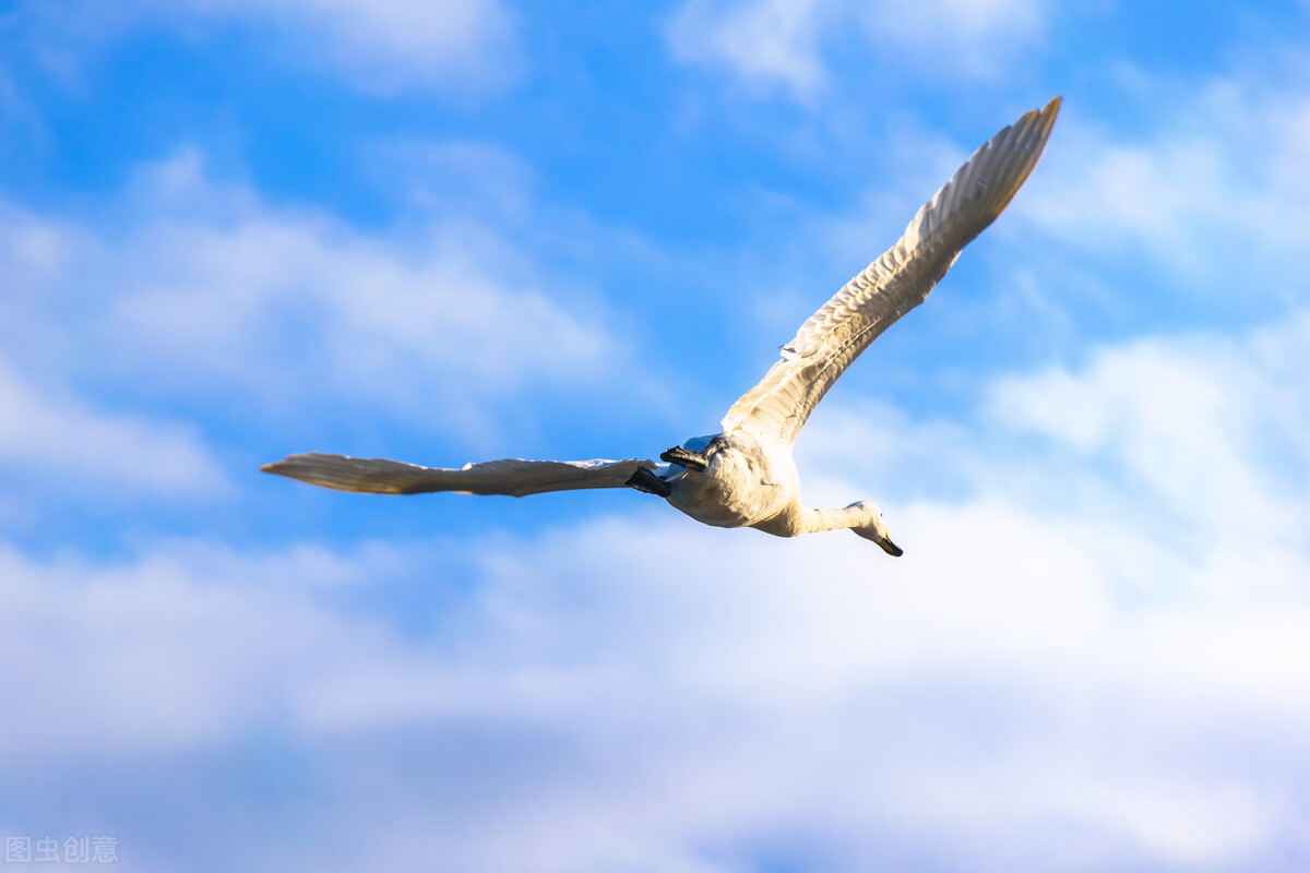 地方;那里没有欺强凌弱,那里没有车来人往;只有青青的草地,诱人的花香