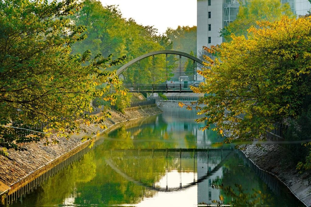 学界首位、大陆唯一！又一国际“最高”荣誉公布，河南女教授入选！