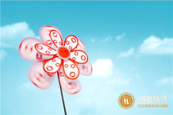 100个让人泪奔的故事