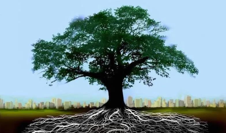 关于秋季种树的说说配图「短句」 _qq说说网