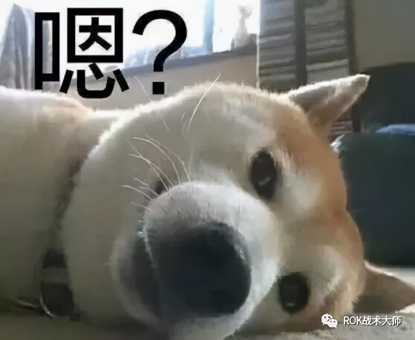 万国觉醒丨征服者威廉实测（下）