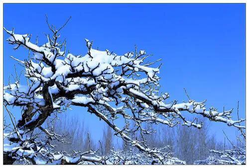 鹤城大萧侃东北（48）——东北方言「冰天雪地篇」