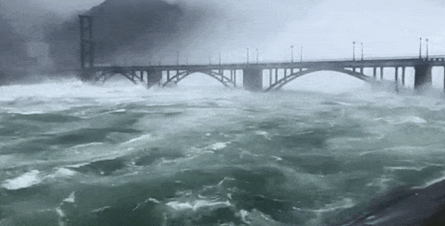 ������ѧ�ұ���Ԥ�⣺��Ȼ�ֺ����ܽ�ʹ�ձ����ɱ�����������