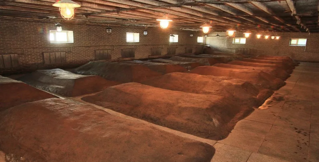 带你去看看那些产出好酒的窖池