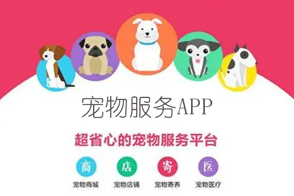 宠物服务平台有哪些服务板块