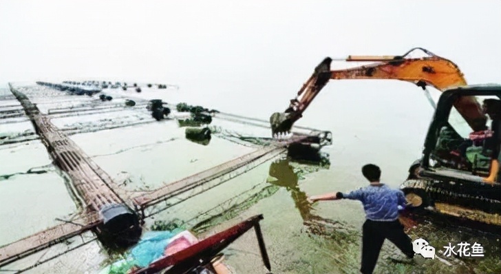 水产养殖尾水处理——多级人工湿地净水技术