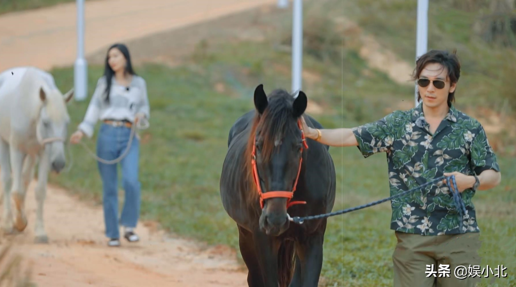 宋丹丹离开后，才读懂李雪琴：真正的精神内耗不是卷，而是假社交