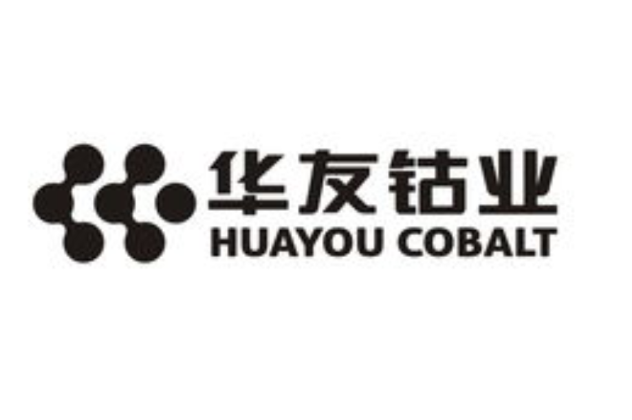 盘点A股实力最强的4大锂电池行业龙头，特斯拉镍基电池惊艳全球