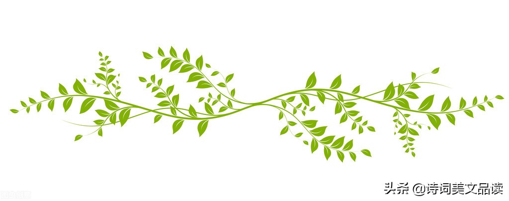 诗经楚辞取名 吴姓（诗经和楚辞中的150个名字，真是太有诗意了，你的名字在里面吗？）