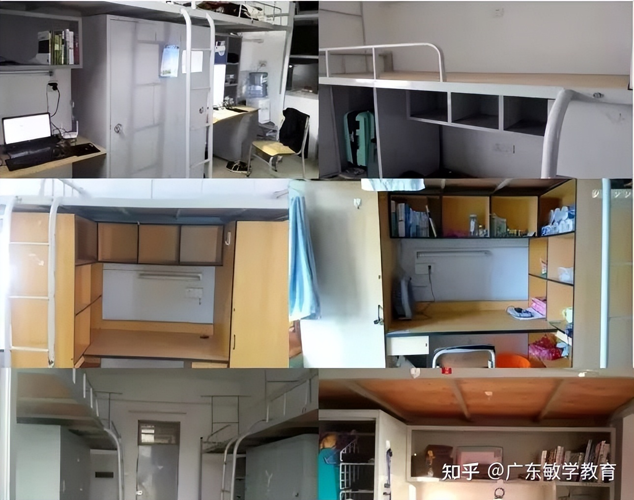 广东金融学院宿舍 广东金融学院口碑如何-蟋蟀号