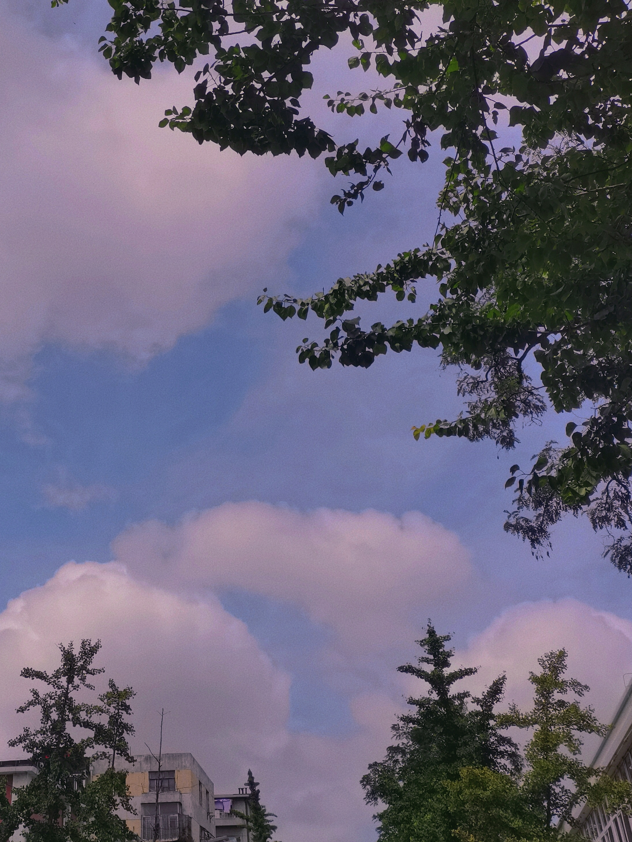 看看,我们美少女喜欢的风景果然都一样.