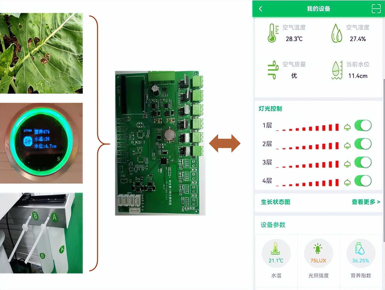 北理工学子用AI种出“零碳”零农残的绿色“科技蔬菜”