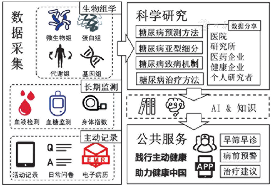 「讲座」人工智能在2型糖尿病精准分型中的应用