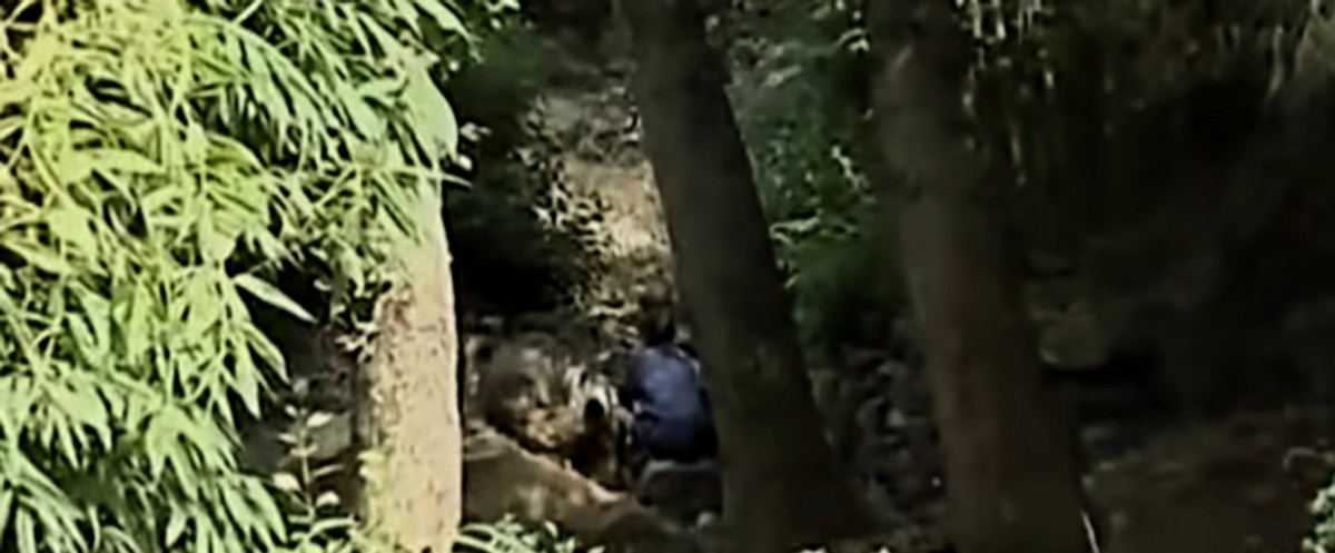 2009年，云南男子向表妹提亲遭拒，一气之下将其奸杀，还摔死其弟