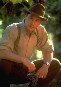 经典电影《云中漫步》：爱就要说出来