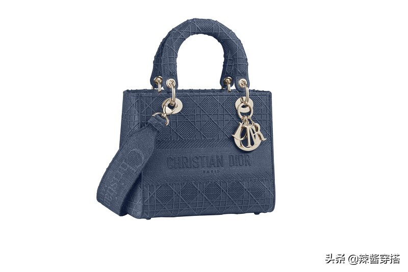 Dior Saddle、Book Tote到最新Micro Bag，一定要认识的5大经典包