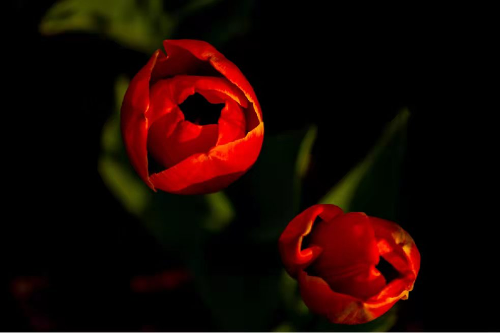 这门开设40年的课程，教学生如何捕捉美