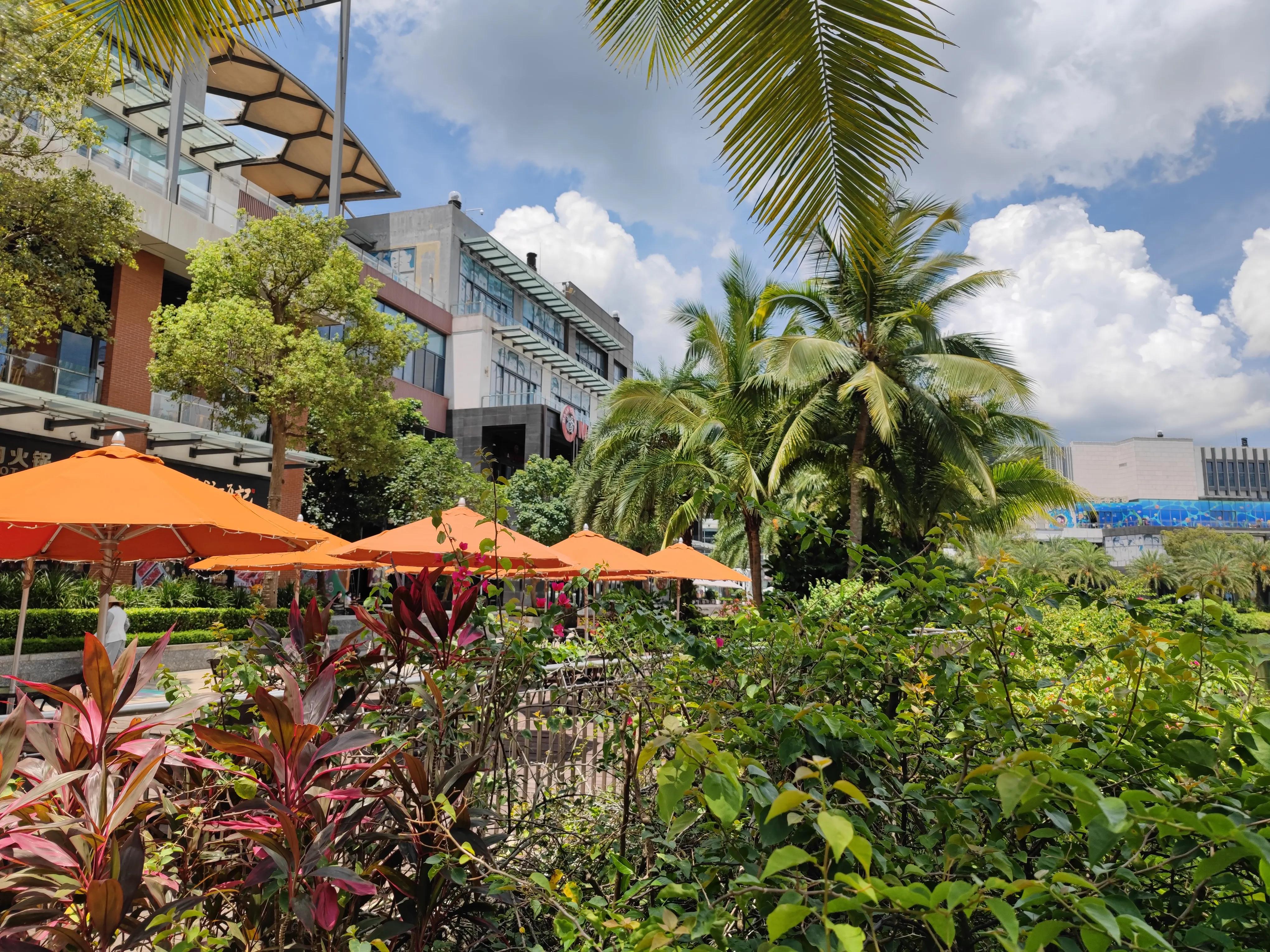 小米11 ultra，降级的拍照体验，喜欢拍照还是很值得拥有的