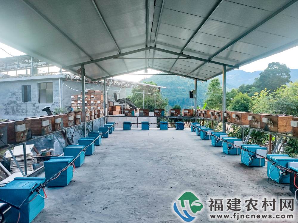 互联网+智能养蜂 开启无限“蜂”景