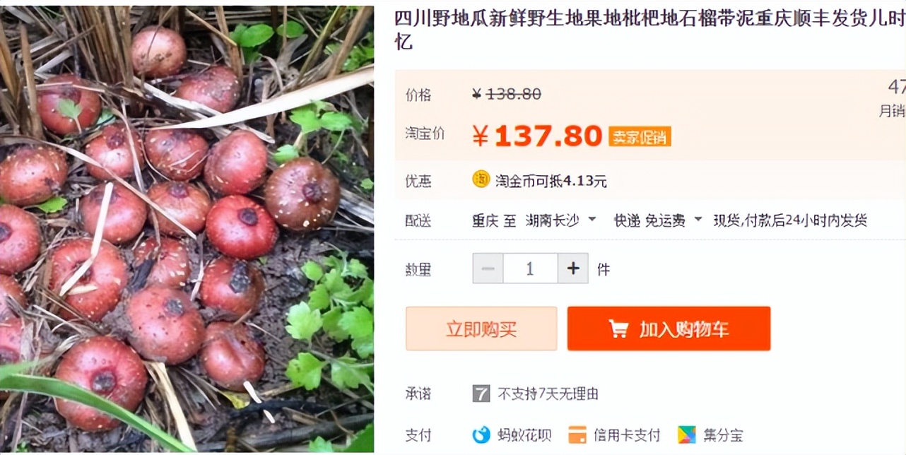 红薯视频今日价格，中国姜网今日价格视频