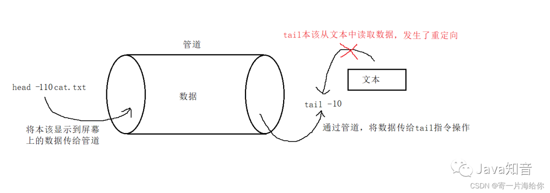 万字详解 Linux 常用指令（值得收藏）