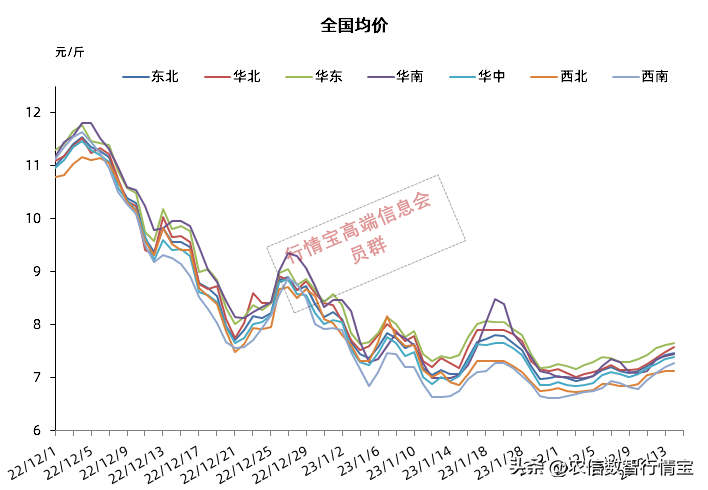 涨涨涨！千万别停！局地逼近8元！猪价触底反弹了吗？