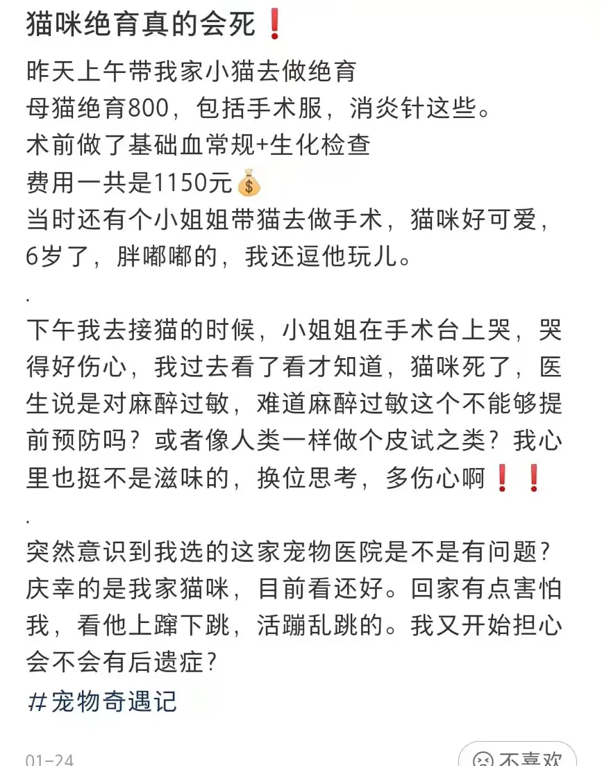 多花冤枉钱,被医生PUA,为什么宠物绝育越来越贵?