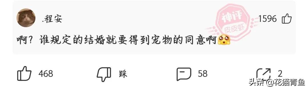 假如有一天国足能打进世界杯(神回复：国足拿下了世界杯，咱们国家球迷会做出什么疯狂的事？)